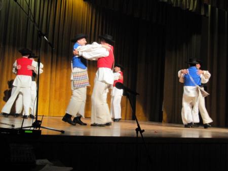 Območno srečanje odraslih folklornih skupin 2013 8